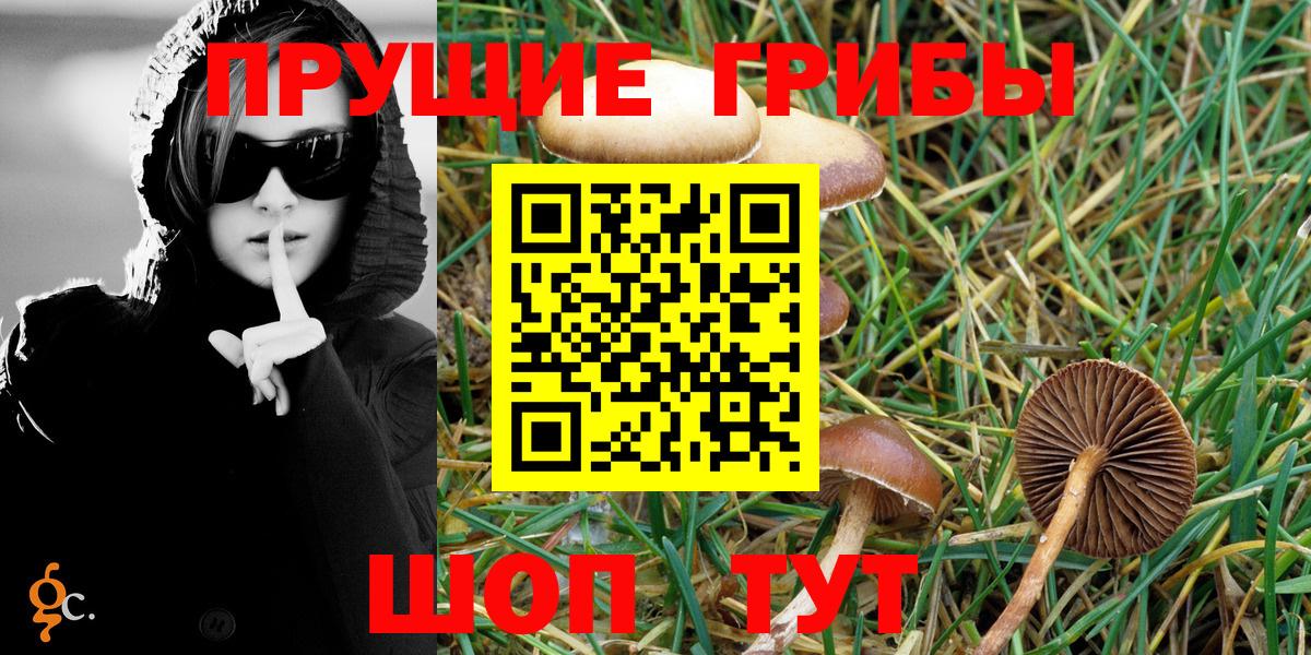 купить закладку  Галлюциногенные грибы Psilocybe  Вход с VPN  Салават 