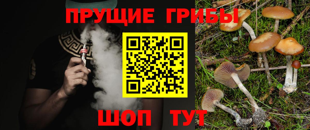 Псилоцибиновые грибы Psilocybe Салават